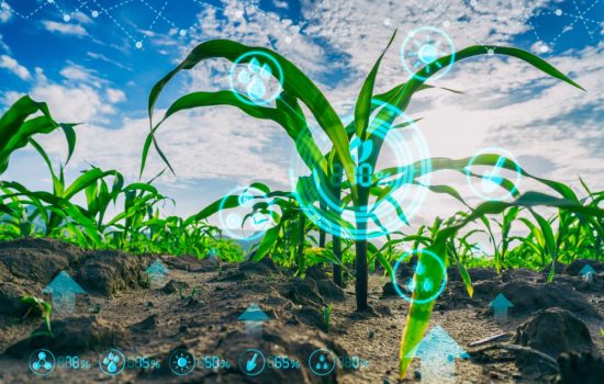 agronomy-1